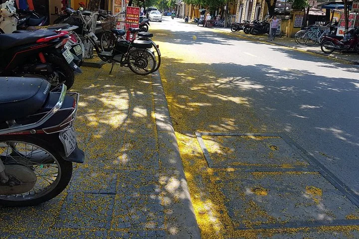 A street covered in yellow fallen leaves with parked motorbikes.